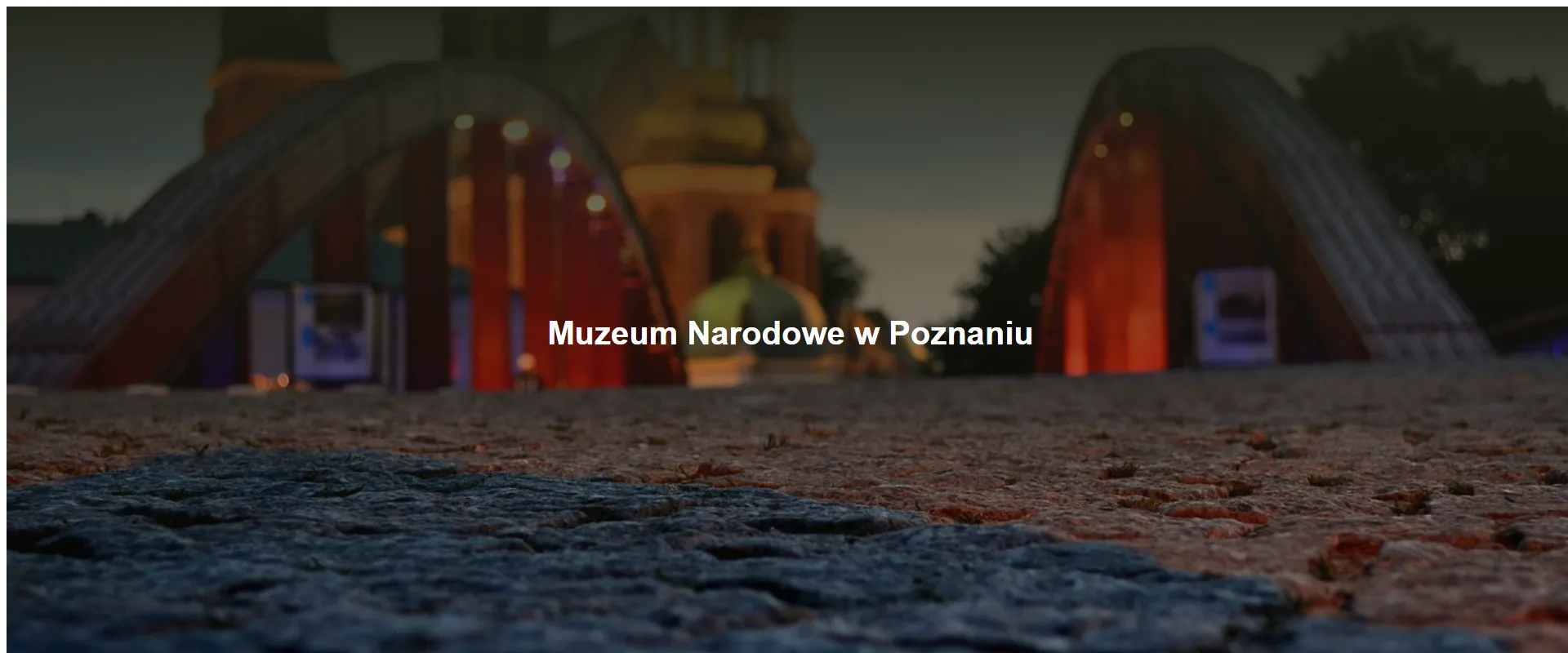 Muzeum Narodowe w Poznaniu